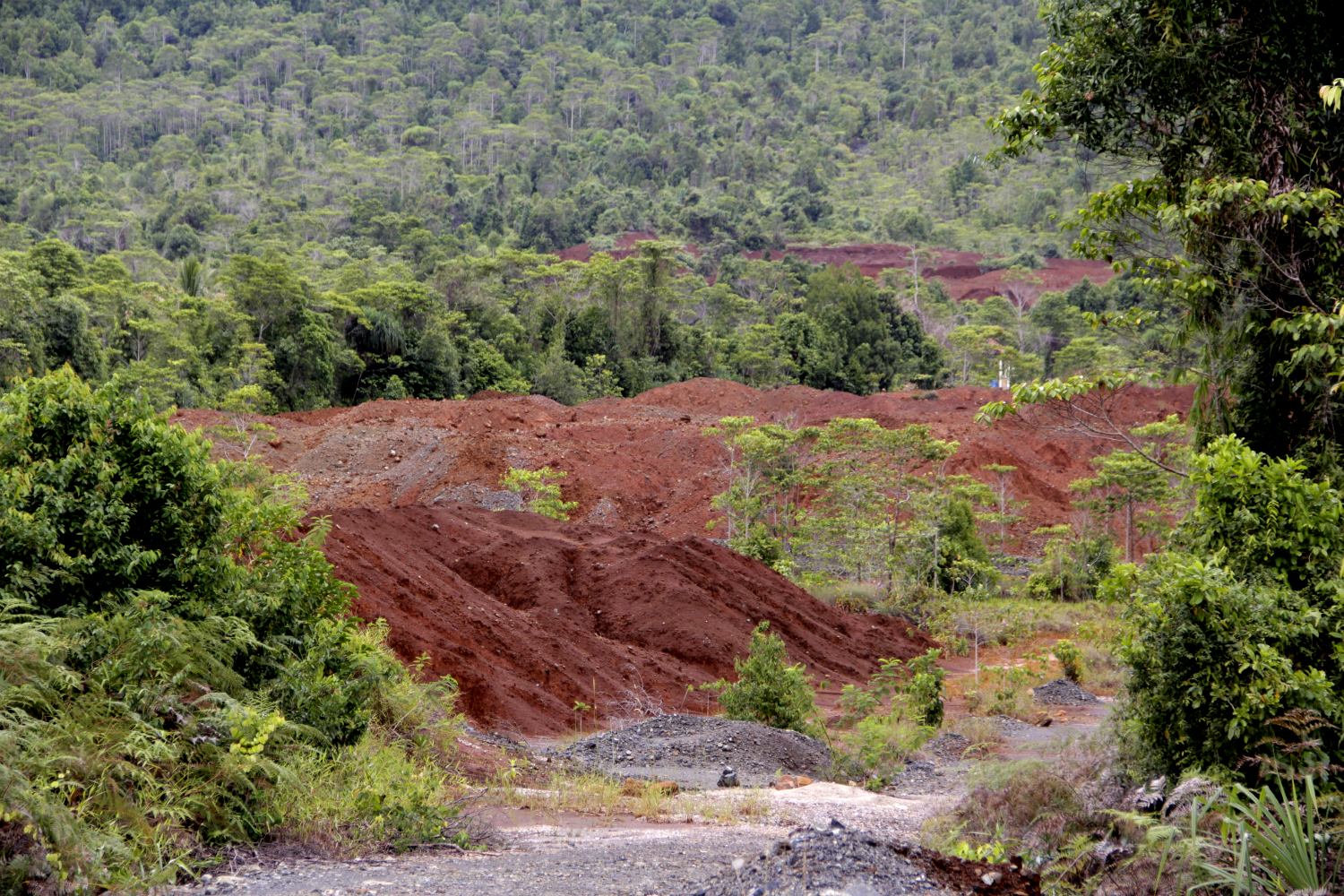 Sengketa Lingkungan KIP Menangkan Koalisi Tambang Sulawesi Selatan