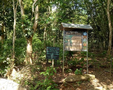 hutan adat kajang