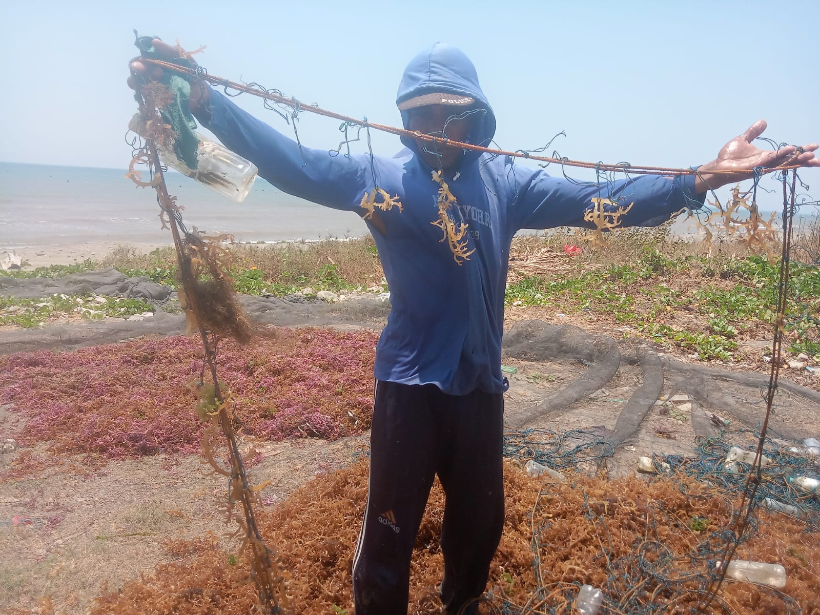 Suhu Laut Memanas, Petani Rumput Laut Bantaeng Merugi/Suardi B/Bollo.id