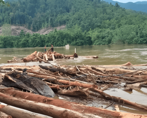 Potret material kayu hanyut berserakan di Sungai Malili, Luwu Timur/Arkil Batara Dirga Pangeran/Bollo.id