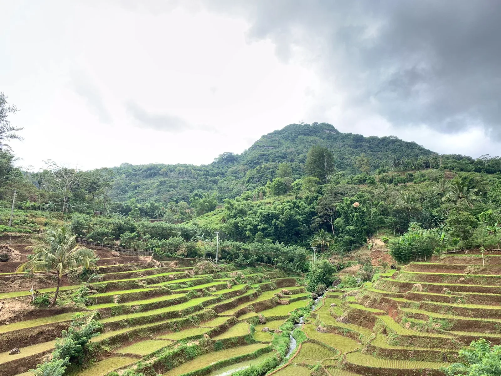 Salah satu sudut kawasan bentang alam karst/Emi Sulfiana/Bollo.id