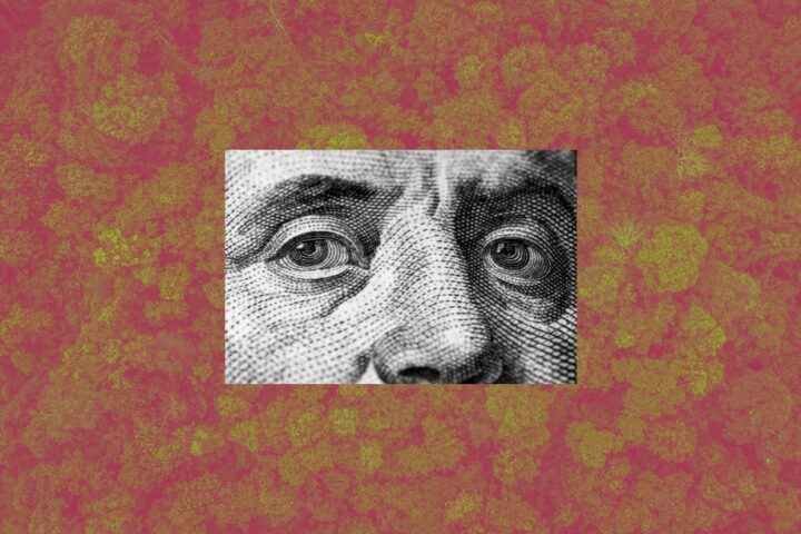 Ilustrasi: Di Balik Bantuan Dana Lingkungan/Bollo.id