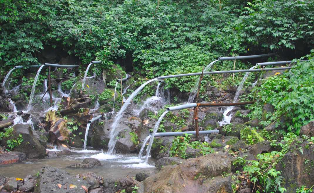 Ilustrasi mata iar/forestdigest.com