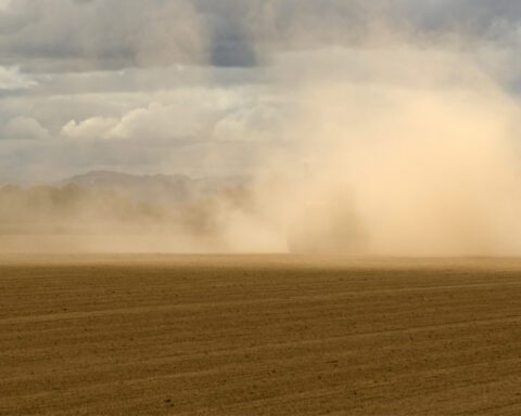 Ilustrasi debu/contentstack.com