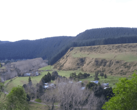 Bentang Alam Sungai Whanganui/Foto: Hasbi Assidiq
