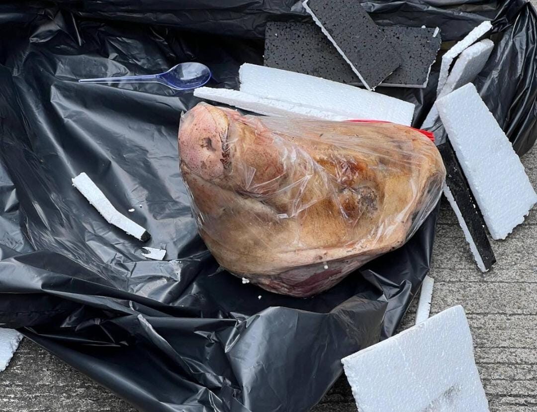 Kepala Babi yang dikirim untuk Tempo/Foto: Tempo