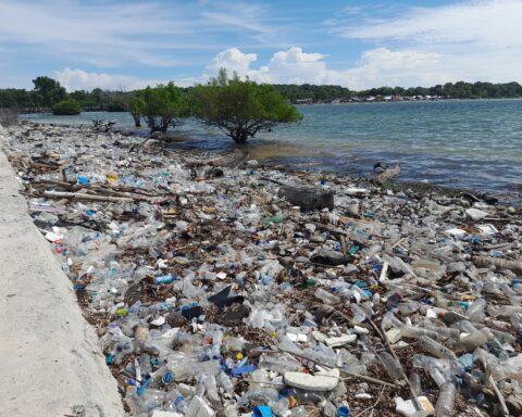 Sampah plastik di tepian Pulau Gusung/Foto: Andi Audia Faiza Nazli Irfan/Bollo.id