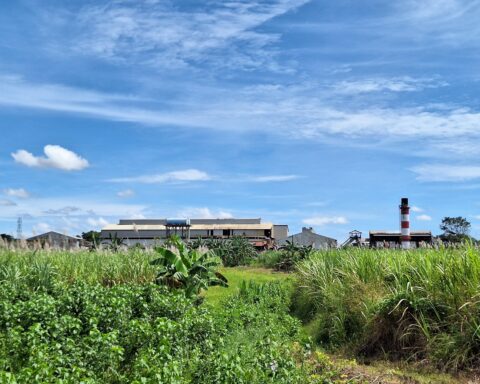 Pabrik Gula Takalar, milik PTPN 1 Regional 8/Muh Aidil/Bollo.id