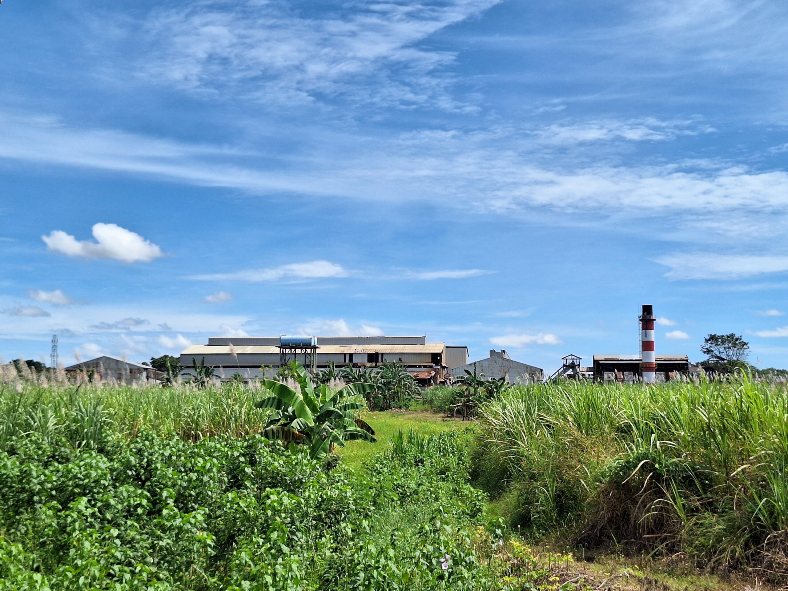 Pabrik Gula Takalar, milik PTPN 1 Regional 8/Muh Aidil/Bollo.id