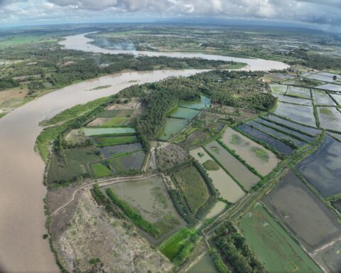 Potret tambak warga yang terdampak penambangan pasir di muara Sungai Saddang, Kabupaten Pinrang/Foto: KPA Sulsel
