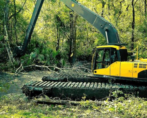 Ilustrasi ekskavator beraktivitas di hutan/Foto: wetlandequipment.com