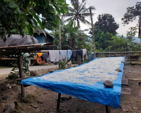 Kelapa parut dijemur di depan rumah Lawiyah/Foto: Andi Audia Faiza Nazli Irfan/Bollo.id