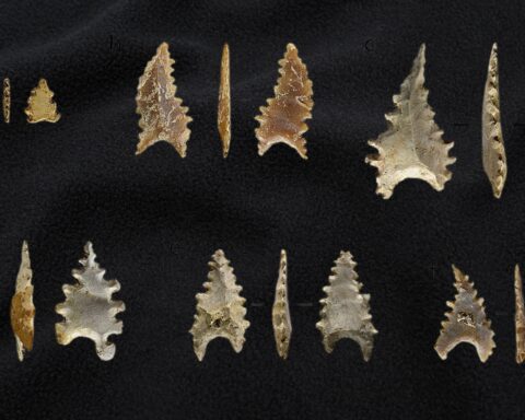 Pemindahan artefak daerah dari balai arkeologi yang ada di berbagai daerah ke Badan Riset dan Inovasi Nasional (BRIN) pusat menjadi polemik. Mobilisasi itu dinilai sentralistik/Ilustrasi: Bollo.id