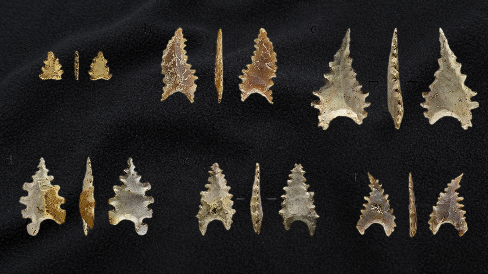 Pemindahan artefak daerah dari balai arkeologi yang ada di berbagai daerah ke Badan Riset dan Inovasi Nasional (BRIN) pusat menjadi polemik. Mobilisasi itu dinilai sentralistik/Ilustrasi: Bollo.id