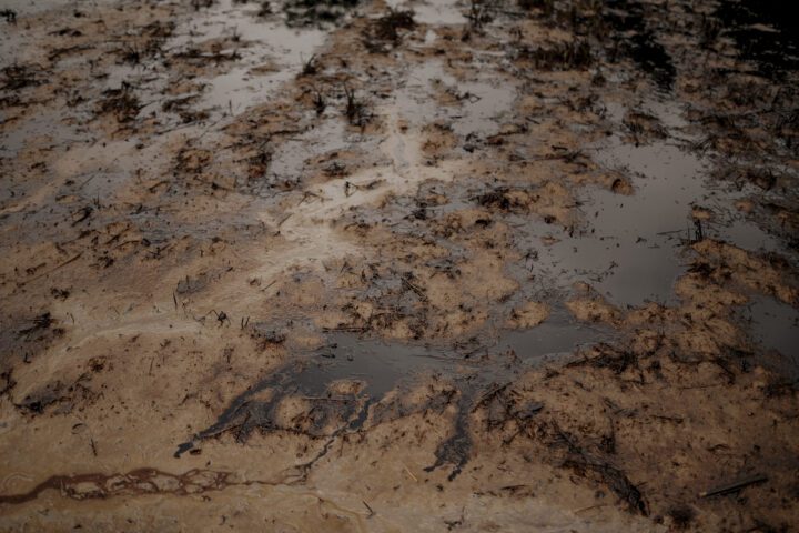 Sekitar 2 hektare areal persawahan warga tercemar minyak MFO milik PT Vale Indonesia yang bocor di Desa Lioka, Kecamatan Towuti Kabupaten Luwu Timur/Foto: Iqbal Lubis untuk Trend Asia