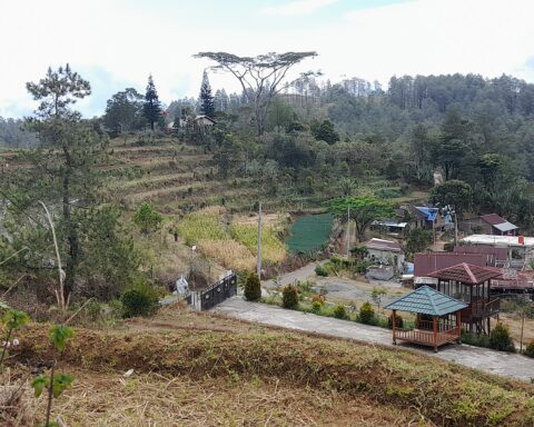 Vila berdampingan dengan lahan produktif di lingkungan Batulapisi Dalam, Malino/Foto: Andi Audia Faiza Nazli Irfan/Bollo.id
