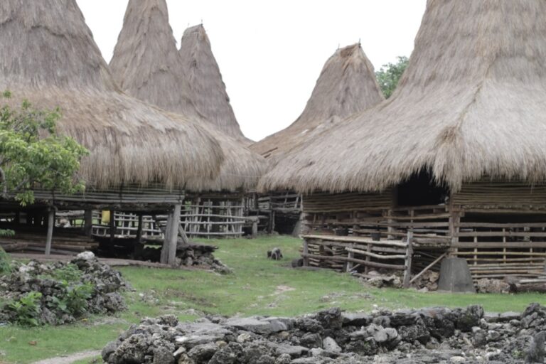 Adaptasi tradisional masyarakat Kodi sangat bergantung pada ritme ini; air hujan adalah sumber utama selama Musim Hujan bagi sebagian besar penduduk/Foto: Mongabay.co.id