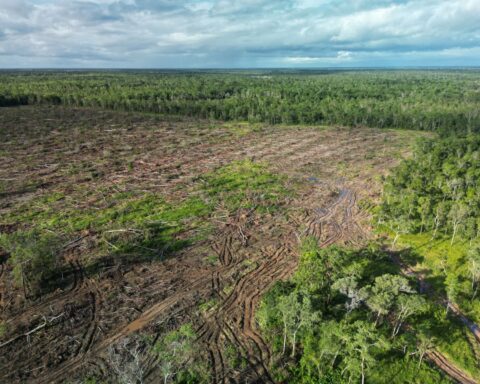 PSN Merauke/Dok: YLBHI