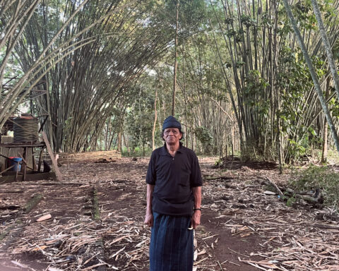 Masyarakat adat Kajang, Gani. Salah satu saksi Tragedi Berdarah 2023, saat masyarakat yang melakukan reklaiming diberondong peluru aparat dan pegawai PT. Lonsum/Foto: Arya Nur Prianugraha untuk Bollo.id