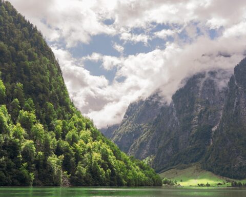 Ilustrasi/Foto: Pixabay