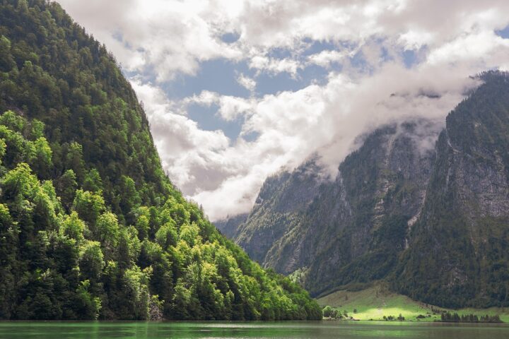 Ilustrasi/Foto: Pixabay