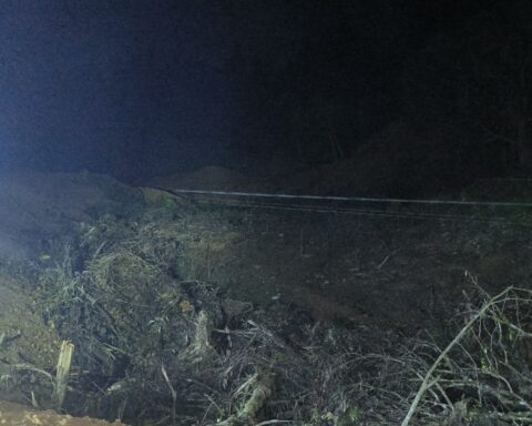 Aktivitas penggundulan hutan lindung di Tombolo Pao/Dok: Istimewa