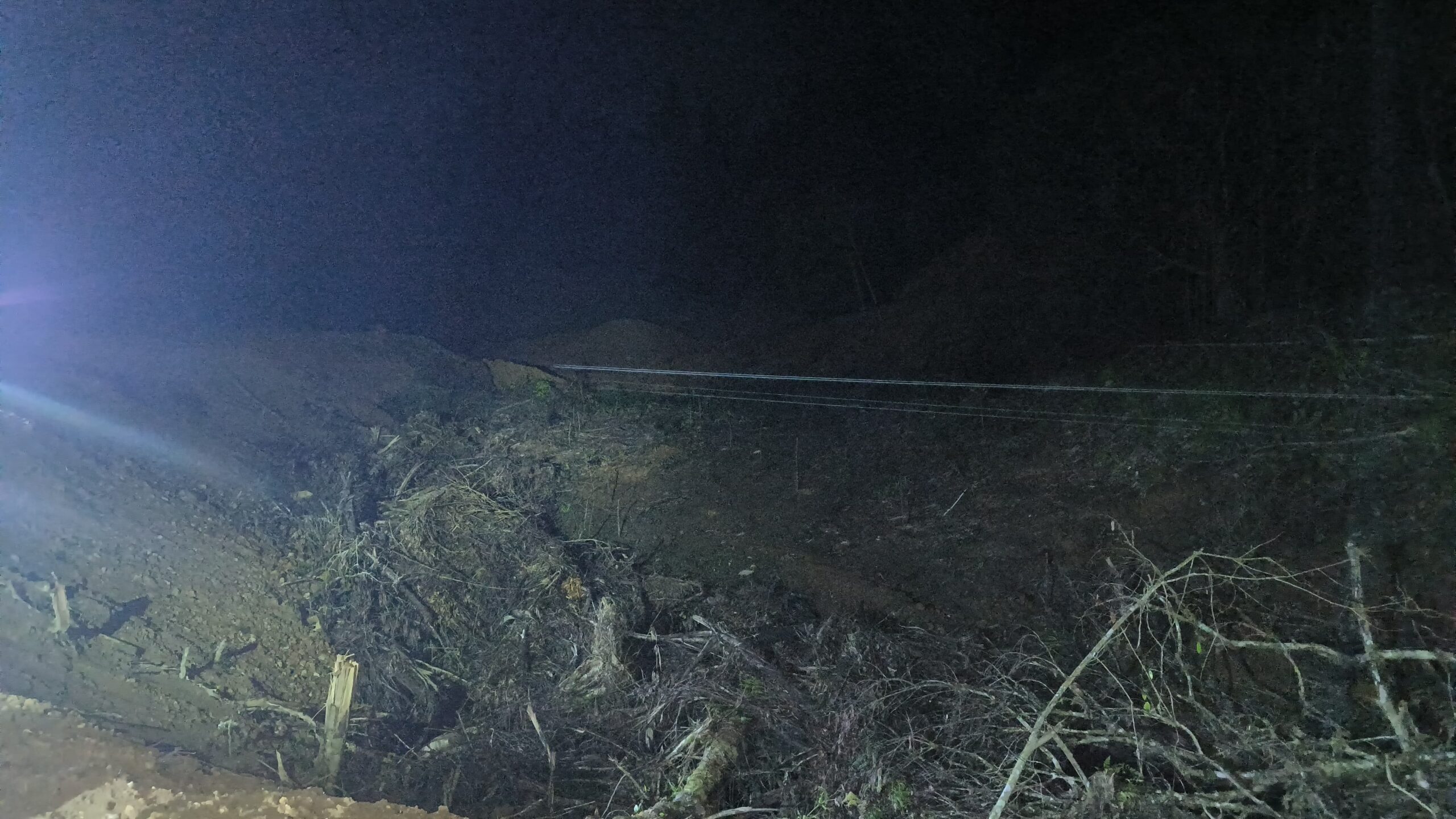 Aktivitas penggundulan hutan lindung di Tombolo Pao/Dok: Istimewa