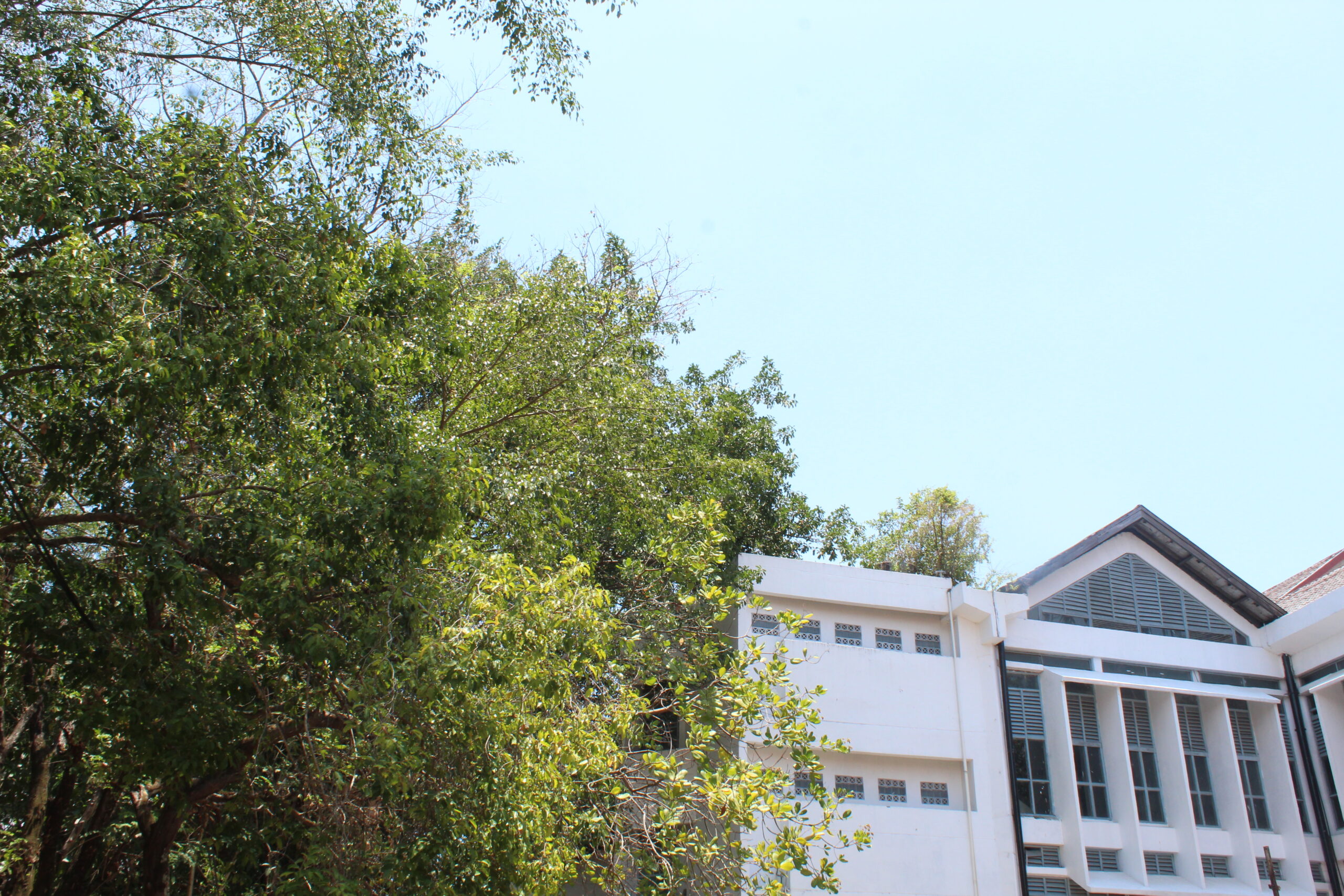 Ilustrasi foto/Andi Audia Faiza Nazli Irfan