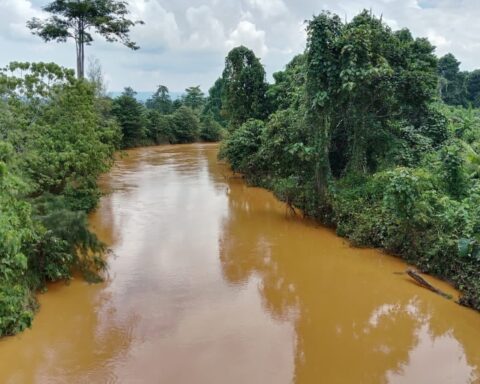 Ekspansi tambang nikel membuat air sungai di Halmahera Tengah, terutama di Weda Tengah, menjadi keruh, 11 November 2025. Foto: Djul Fikram (Fiki) untuk Bollo.id