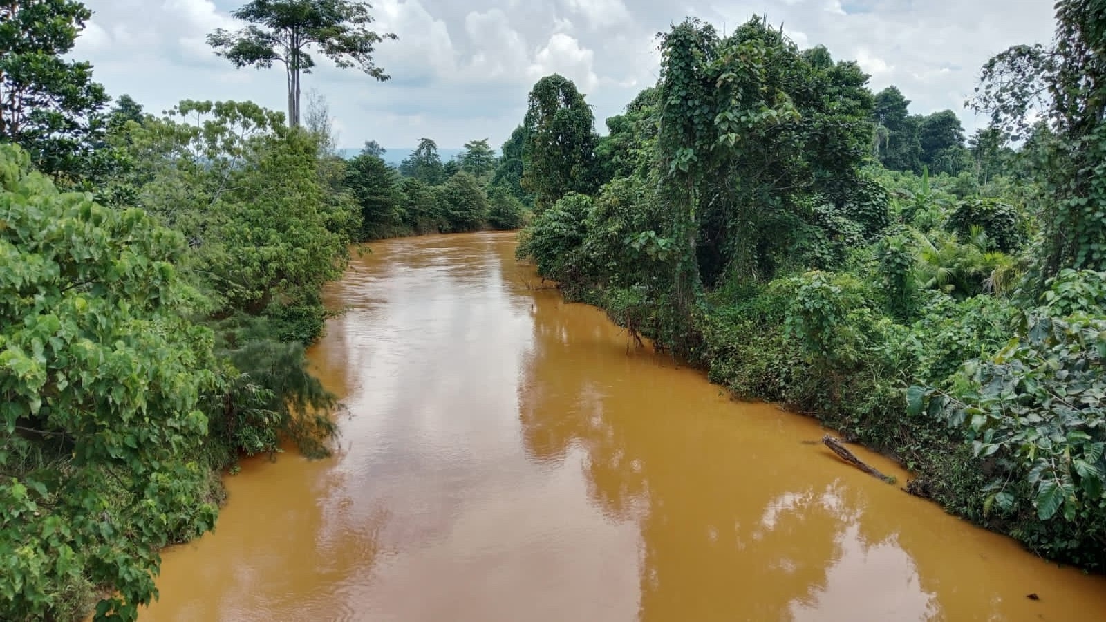 Ekspansi tambang nikel membuat air sungai di Halmahera Tengah, terutama di Weda Tengah, menjadi keruh, 11 November 2025. Foto: Djul Fikram (Fiki) untuk Bollo.id
